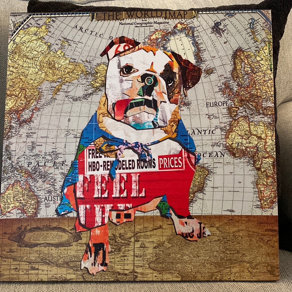 Bull Dog Canvas Print